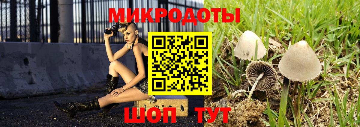 Псилоцибиновые грибы прущие грибы Ногинск